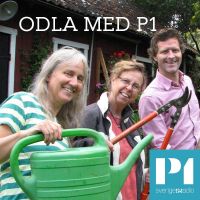 Odla med P1 cover