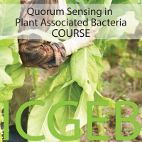 Quorum Sensing in Plant Associated Bacteria cover