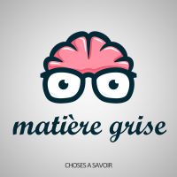 Matière grise cover