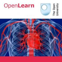 Understanding cardiovascular diseases - for iBooks cover