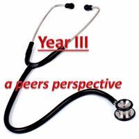 Year 3- A peers perspective cover