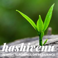 Hashivenu cover