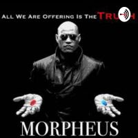 We Need Morpheus cover