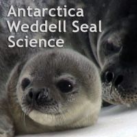 Weddell Seal Science cover