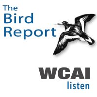 Weekly Bird Report on WCAI cover