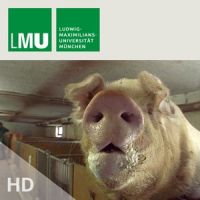 Von Schweinen und Menschen cover