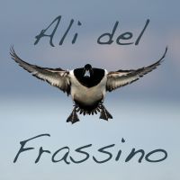 VR BW: Ali del Frassino cover