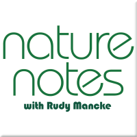 NatureNotes with Rudy Mancke cover