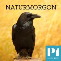 Naturmorgon cover
