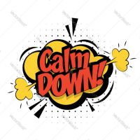 Calm Down I'm Just Serious cover