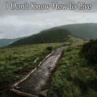 I Don't Know How to Live cover