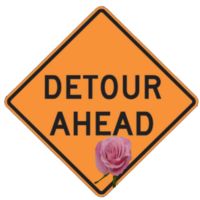 Jacquee T. Detours cover