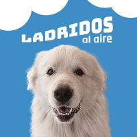 Ladridos Al Aire cover