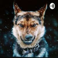O Lobo mau cover