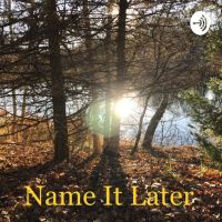 Name It Later cover