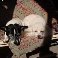 Nana's Knitting Podcast cover