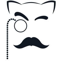 Magnificent Whiskers cover