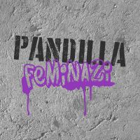 Pandilla Feminazi cover