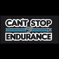 Can't Stop Endurance cover