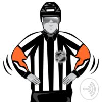Game Misconduct cover