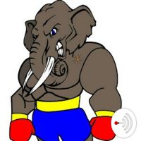 Elephant Sports cover