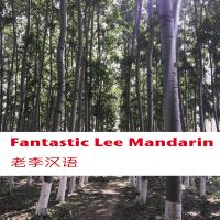 Fantastic Lee Mandarin老李汉语 cover