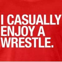 I Casually Enjoy A Wrestle cover