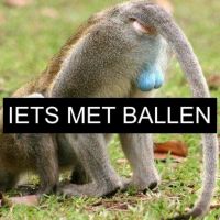 Iets Met Ballen cover