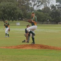 Ladywhips Baseball cover