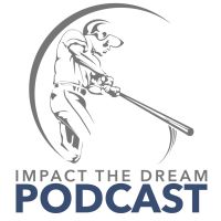 Impact The Dream cover