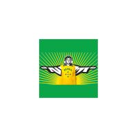 Maracanazo 2014 cover