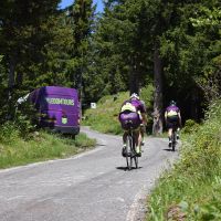 Le Domestique Cycling Podcast cover