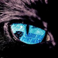 Panthers Reddit Podcast cover