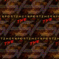 S H Podcast- (Episode 11) NBA Playoff Talk 2018 Allan Lee Chobi Nahti cover