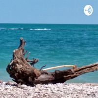 Radio Iellica cover