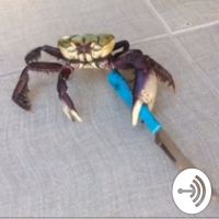 SaltyCrab MMA cover