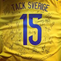 Tack Sverige - De största idrottsprofilerna berättar sin historia cover