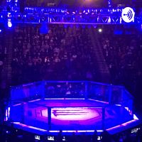 Under The Lights MMA cover