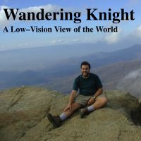 Wandering Knight cover