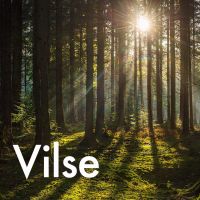 Vilse cover