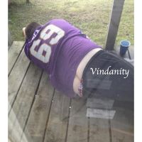 Vindanity cover