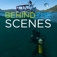 Wildlife Documentaries: Behind the Scenes cover