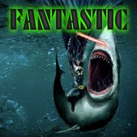 FANTASTIC cover