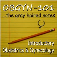 OBGYN-101 Gray Haired Notes cover
