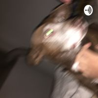 Um Homem Muito Burro e Uma Mulher Muito Burra Também cover
