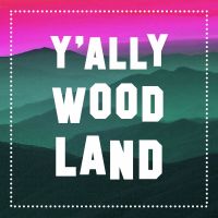 Y'allywood Land cover