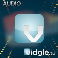 Vidgle [Audio] cover