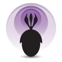 Palaeocast cover