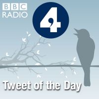 Tweet of the Day cover