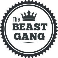 Beast Gang - Video Games cover